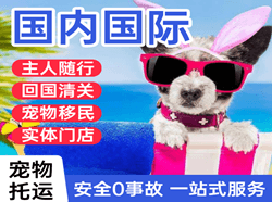 大庆萨尔图机场物流国际宠物托运 【国
